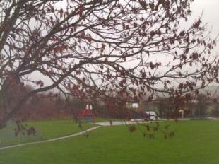 parkland views