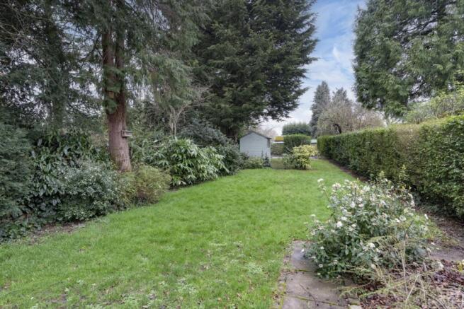 Great Size Rear Garden