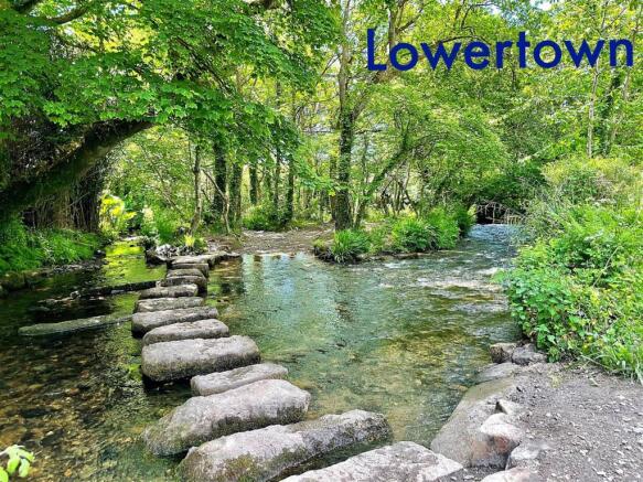 Stepping stones label.jpg