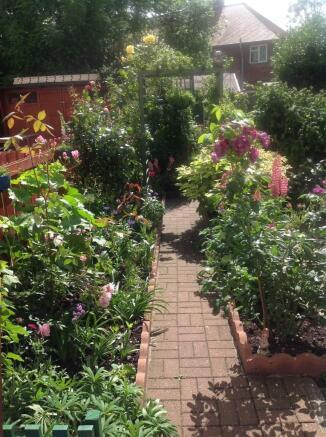 Photo 11