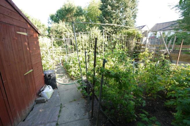 THE GARDENS:-