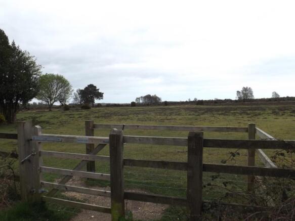 View From The Road
