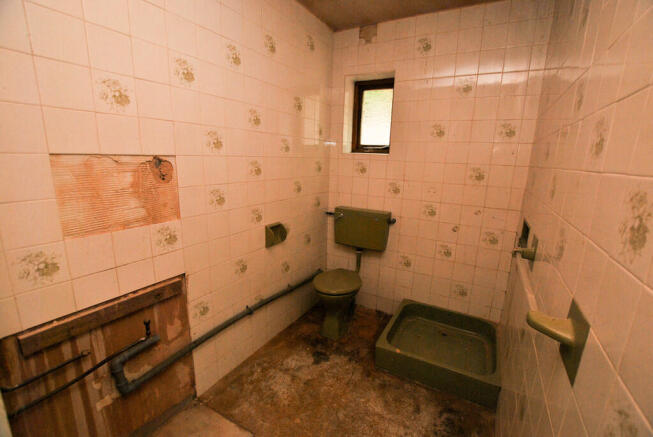 Shower_edited