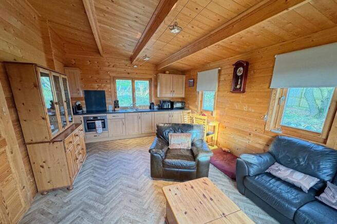 Lodge Lounge/Kitchen