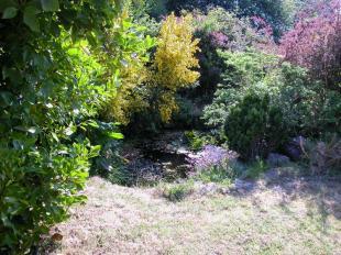 POND
