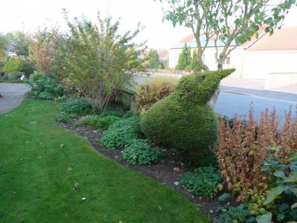 Photo 11