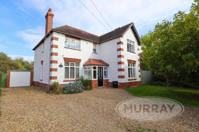 IMG_6066 with logo.jpg