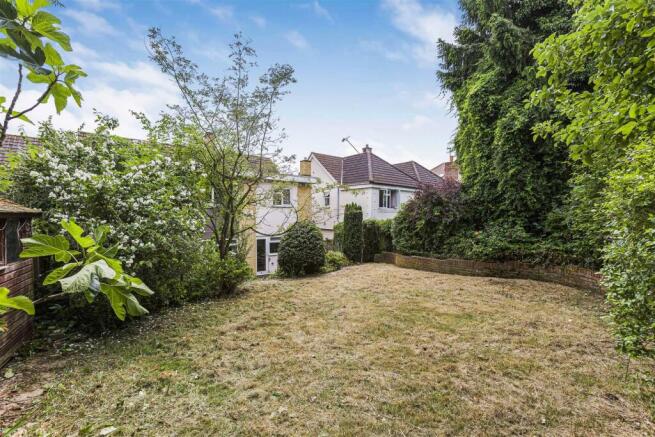91_17184.jpg