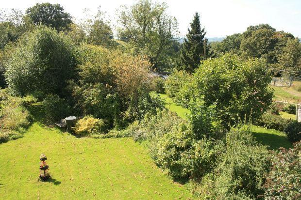 Garden and View