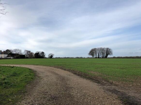 Local Walk