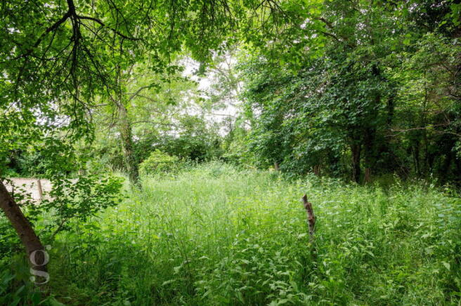 Photo 30