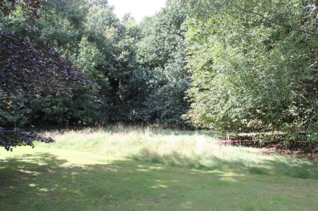 Woodland