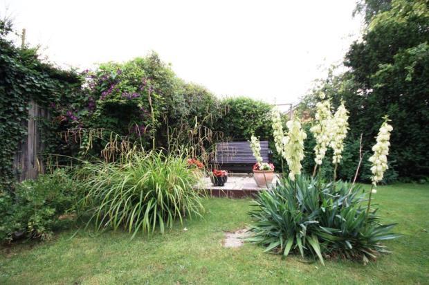 Garden Image 4
