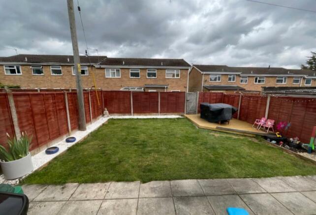new garden.jpg