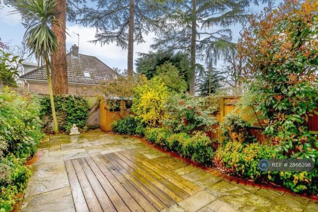 Back Garden