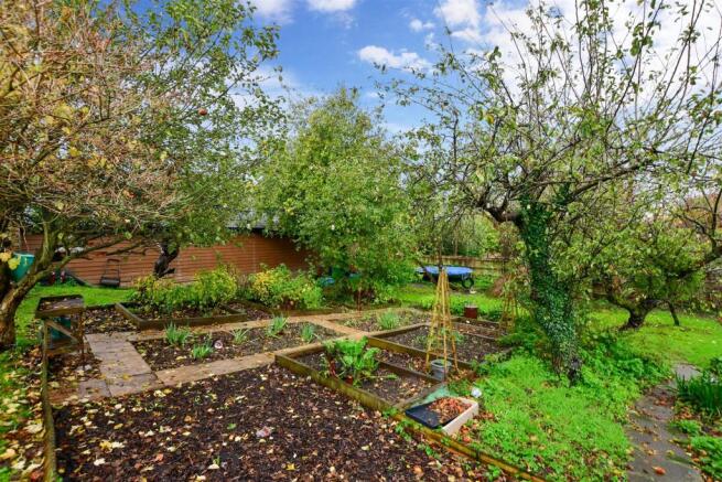 Side Garden