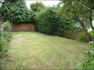 Main garden