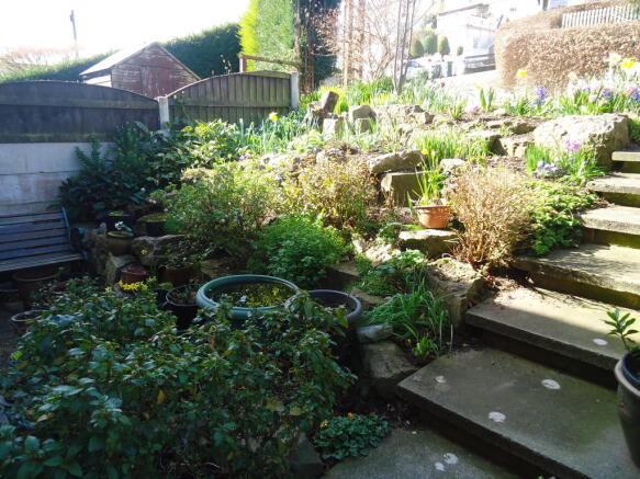 Photo 8