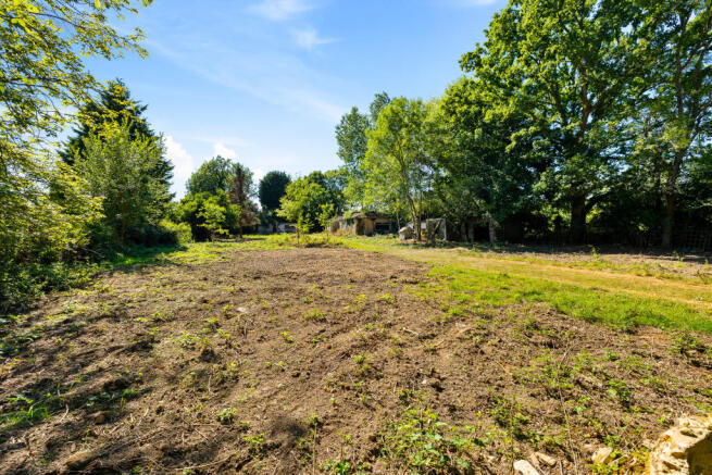 ground image (7).jpg