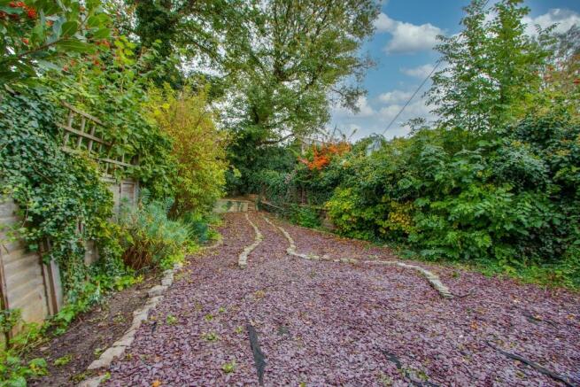 Back Garden 1