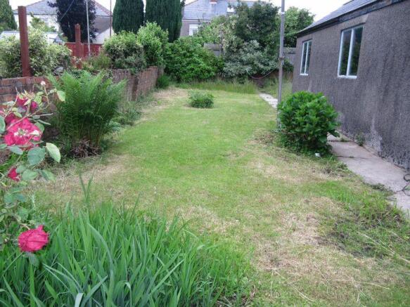 Photo 7