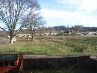 View from bed 1