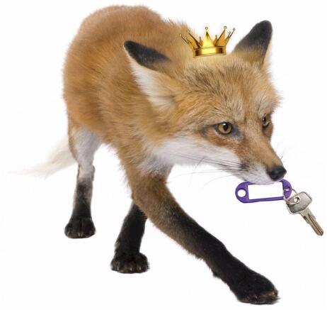 Fox Key