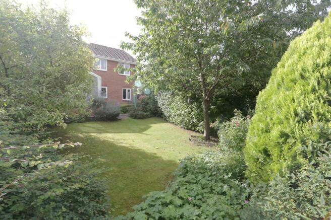 Garden at Back