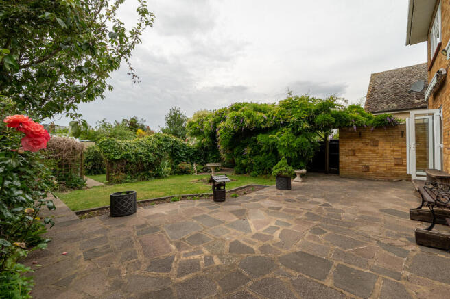 South Facing Garden