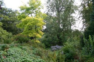 The sunken garden.