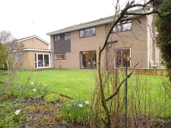 Rear Elevation