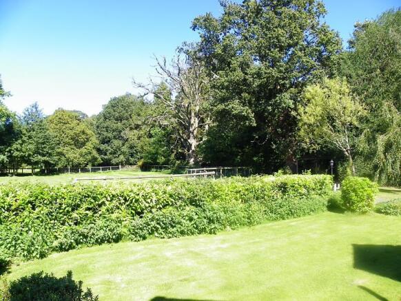 View from Decking