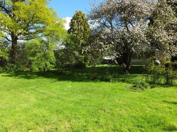 Garden 3