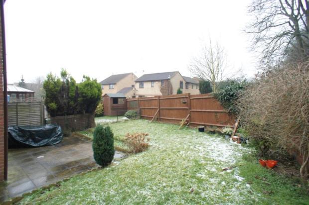 Back Garden