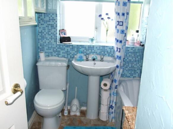 Photo 11