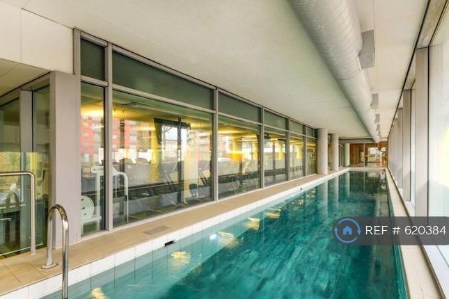Communal Swimming Pool 