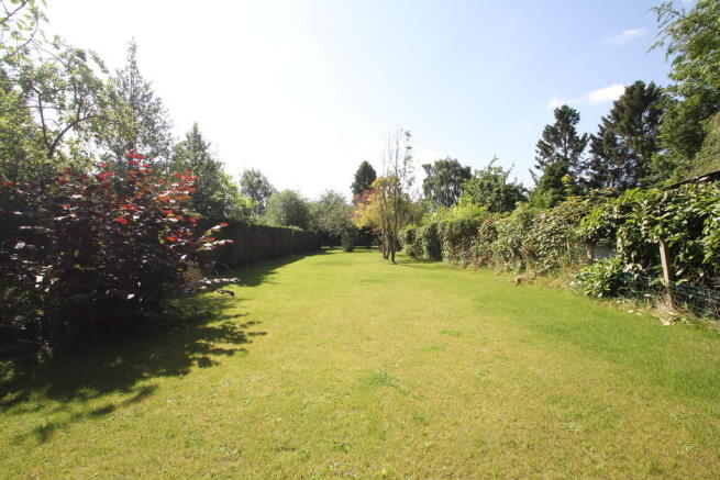 Photo 24