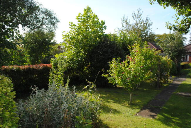 Photo 13