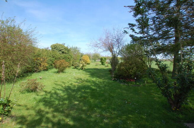 rear garden 2