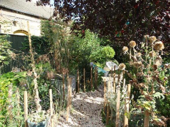 Photo 16