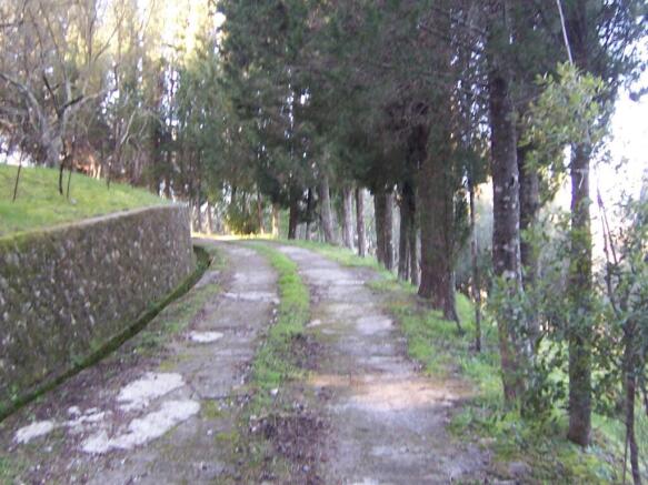 driveway to the house