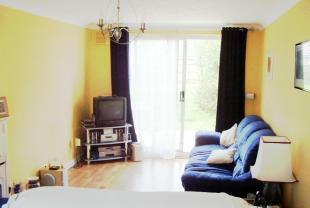 Living / Dining Room