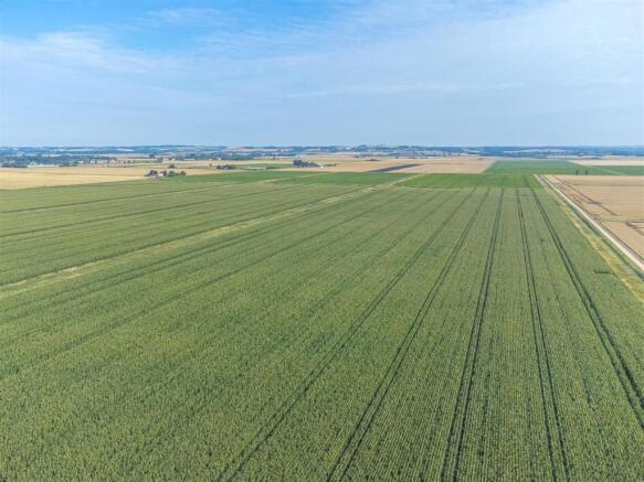 Open Fields Beyond