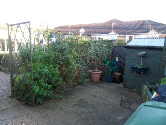 Image 15