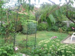 Garden 2