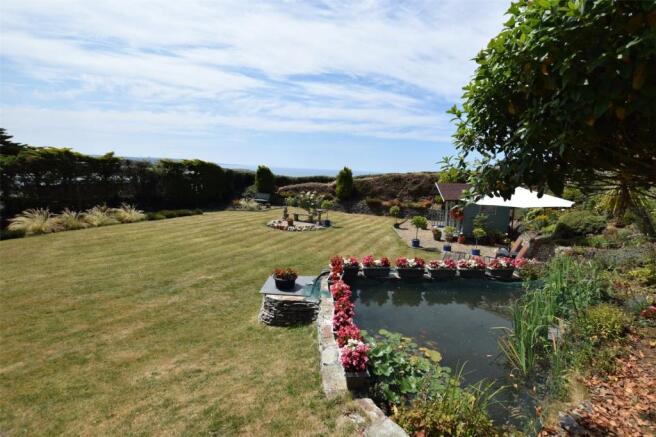 Pond