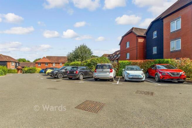 Driveway/Parking