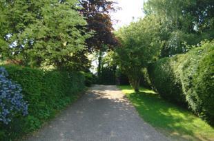 The driveway