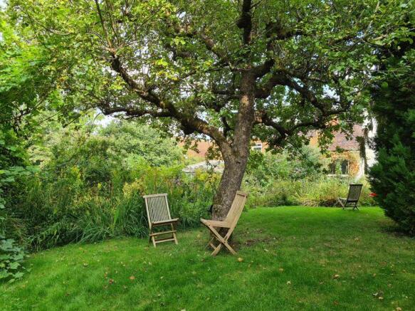 Rear Garden 3