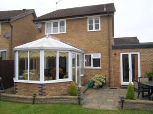 Rear Aspect